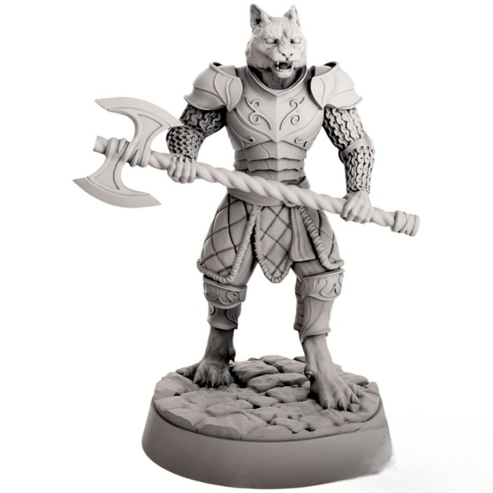 Миниатюра "Кошколюд с секирой"