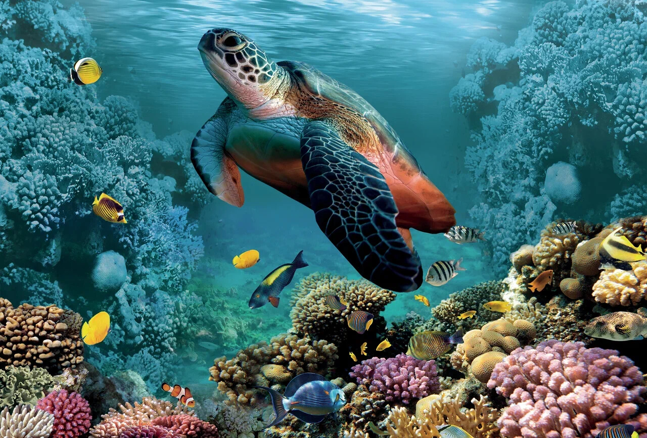 Пазл Super 3D "Большая черепаха", 48 детал. 