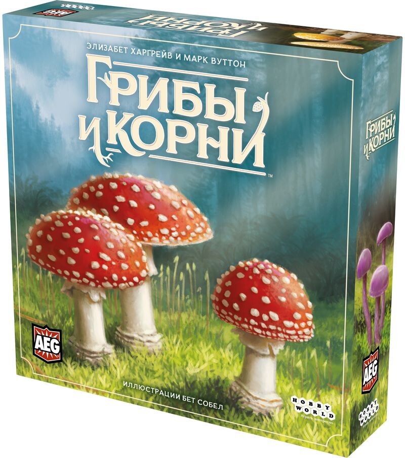 Грибы и корни