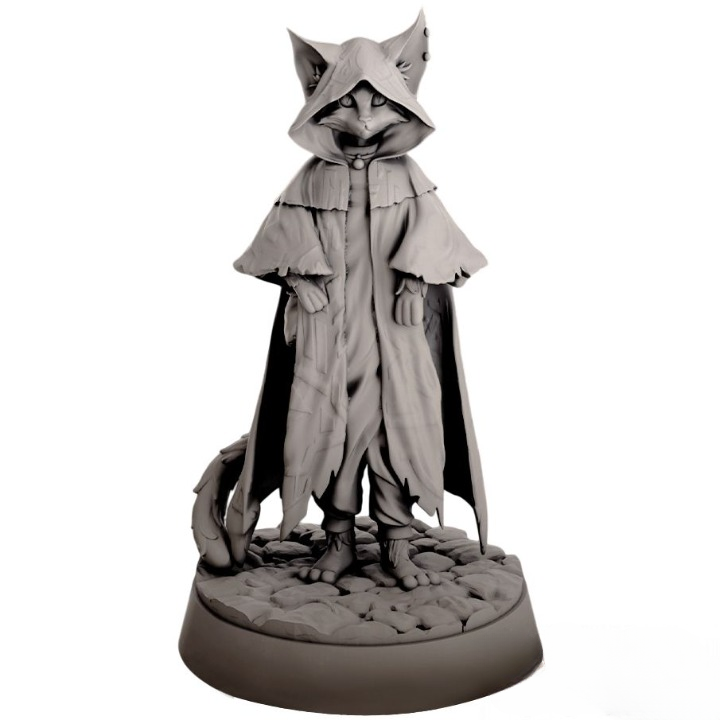 Миниатюра "Кошколюд - колдун"