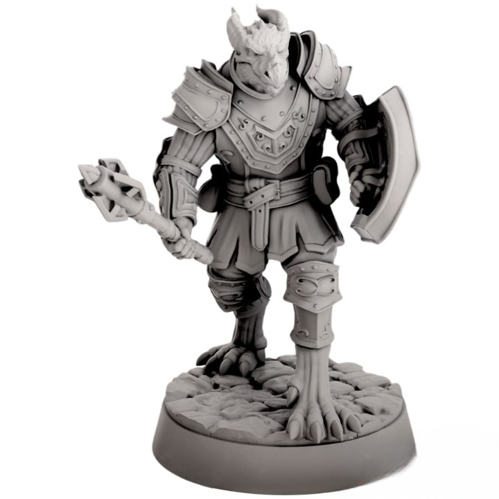 Миниатюра "Драконорожденый с булавой"