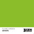 AK: Slime green COLOR PUNCH AK11275 17 мл