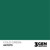 AK: Cold Green COLOR PUNCH AK11273 17 мл