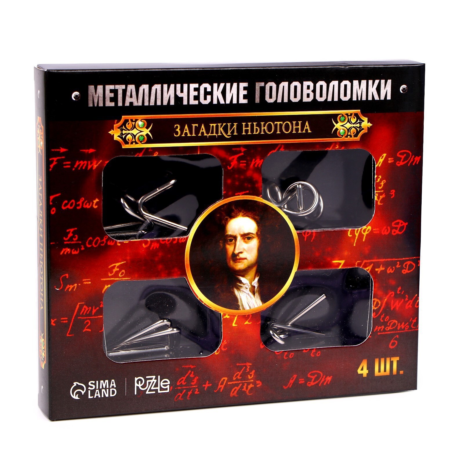 Набор головоломок "Загадки Ньютона" (4шт)