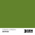 AK: Grass Green  AK11140 17 мл