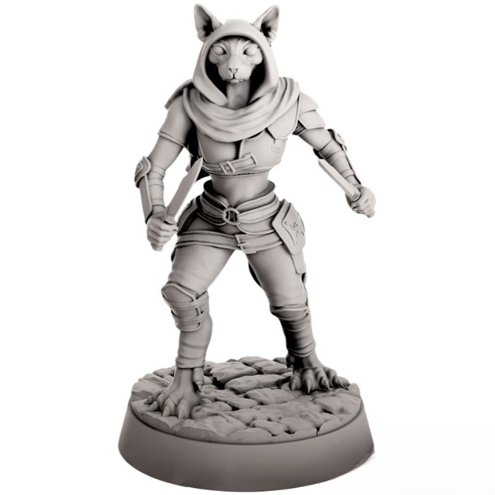 Миниатюра "Кошколюд - плутовка"