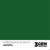 AK: Greenskin COLOR PUNCH AK11274 17 мл