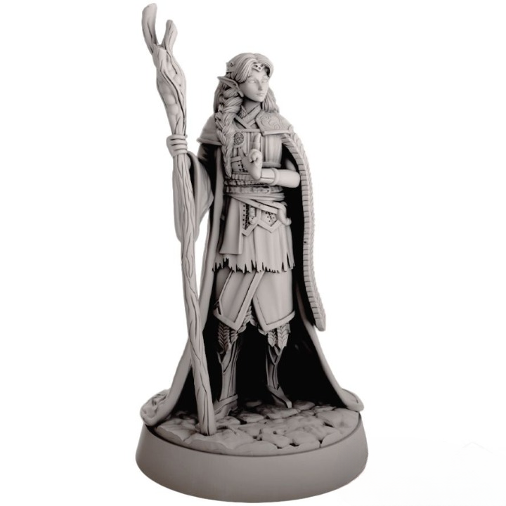 Миниатюра "Эльф - друид (с посохом)"