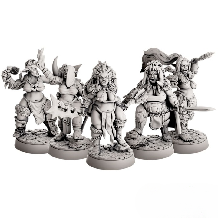 Набор миниатюр "Орчихи"